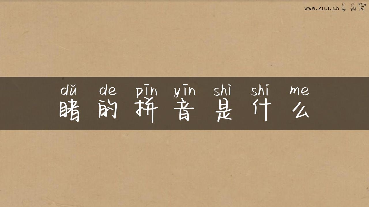 睹的拼音是什么