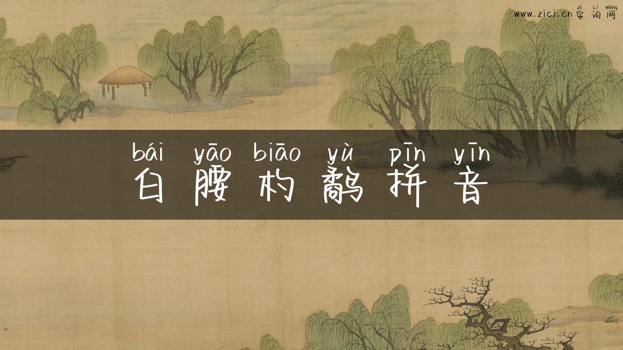 白腰杓鹬拼音