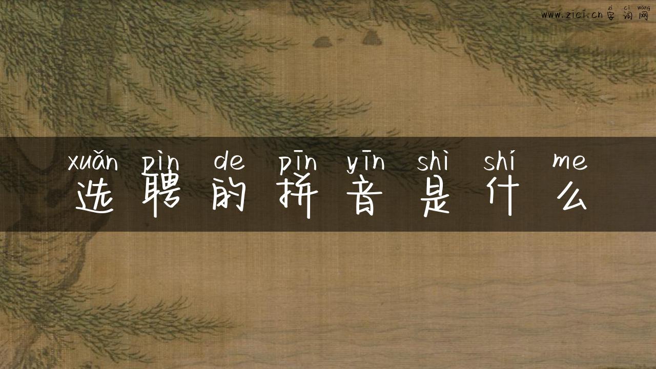选聘的拼音是什么