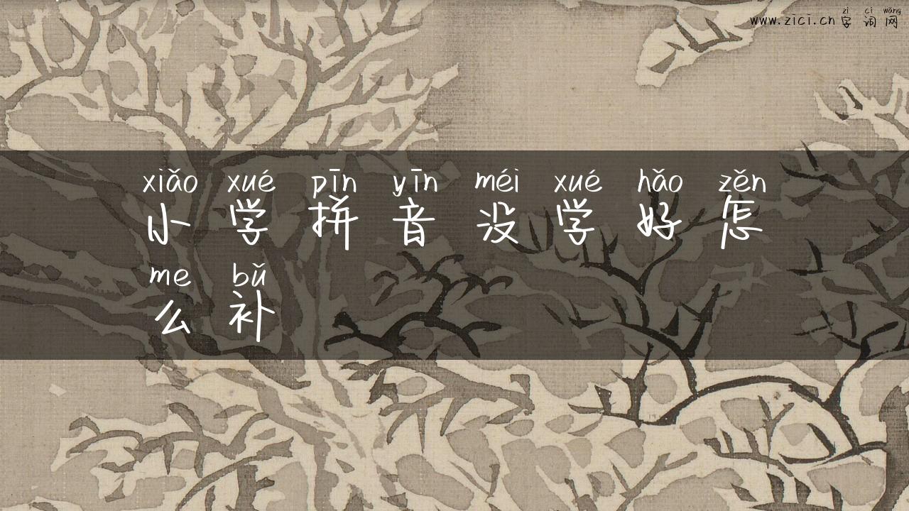 小学拼音没学好怎么补