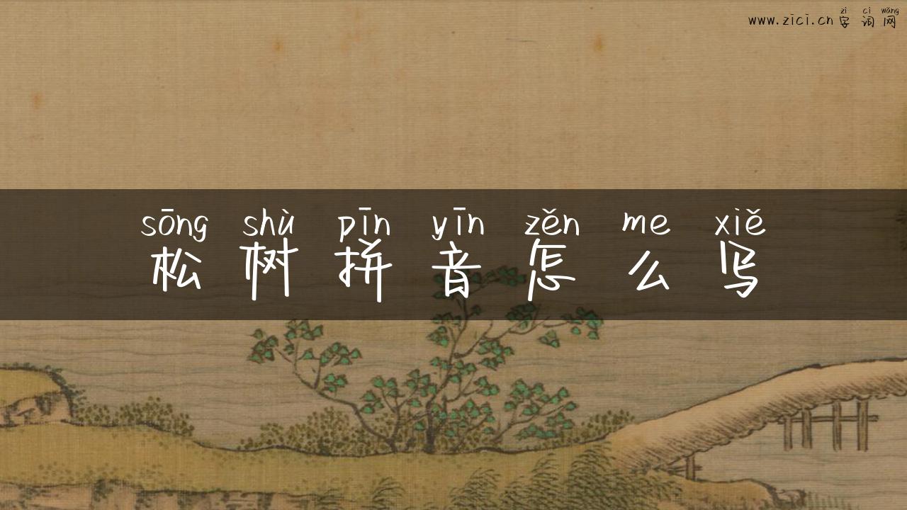 松树拼音怎么写