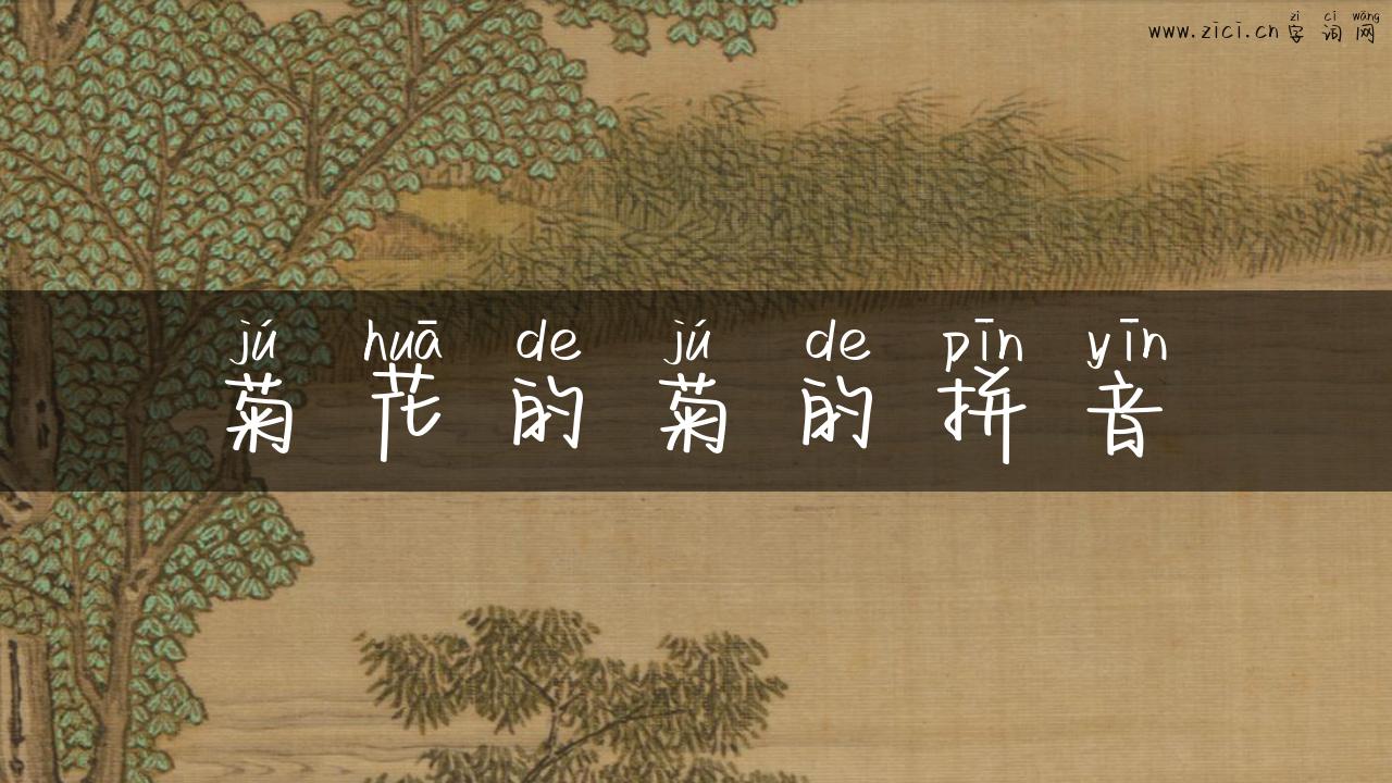 菊花的菊的拼音