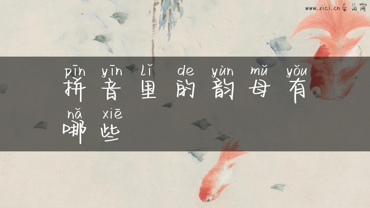 拼音里的韵母有哪些