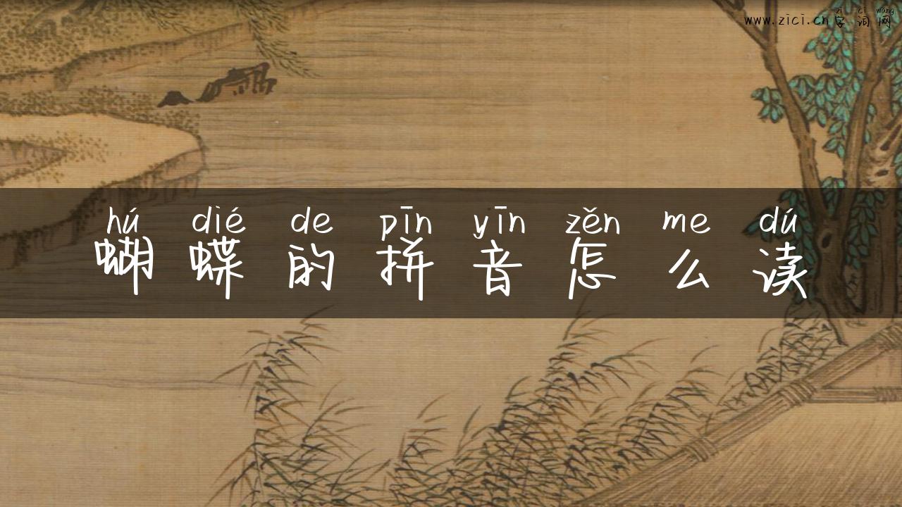 蝴蝶的拼音怎么读