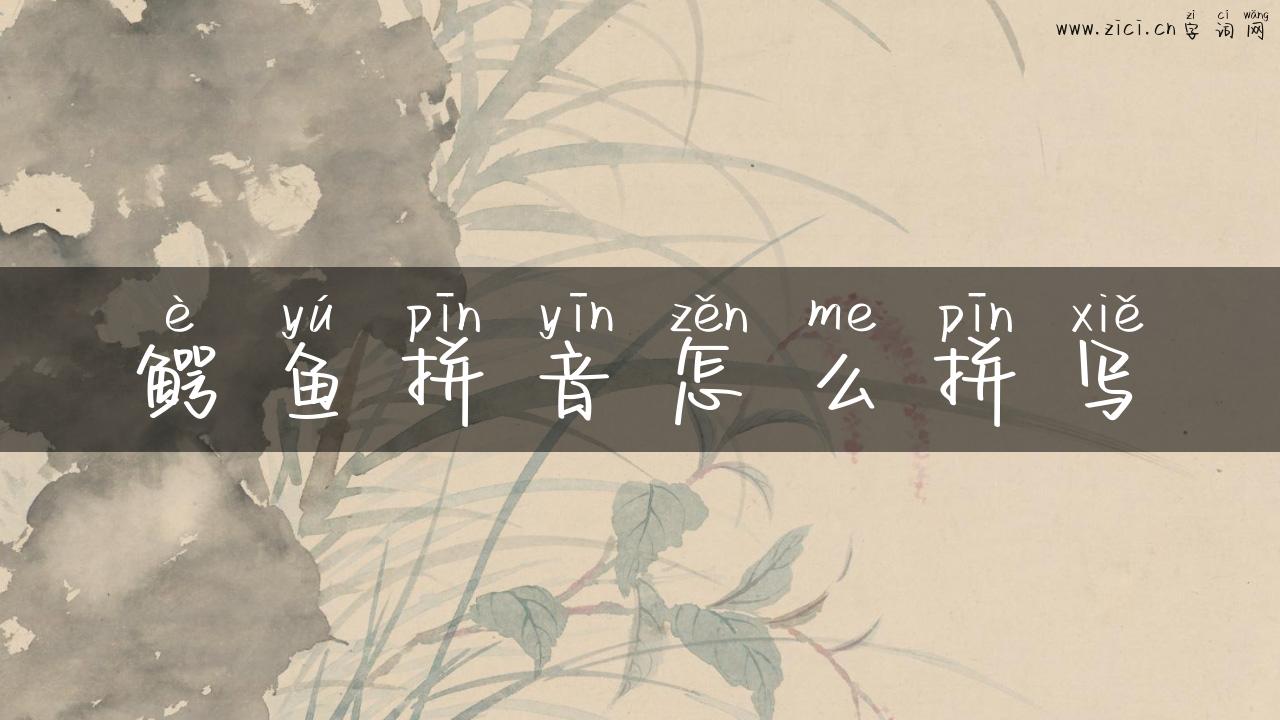 鳄鱼拼音怎么拼写