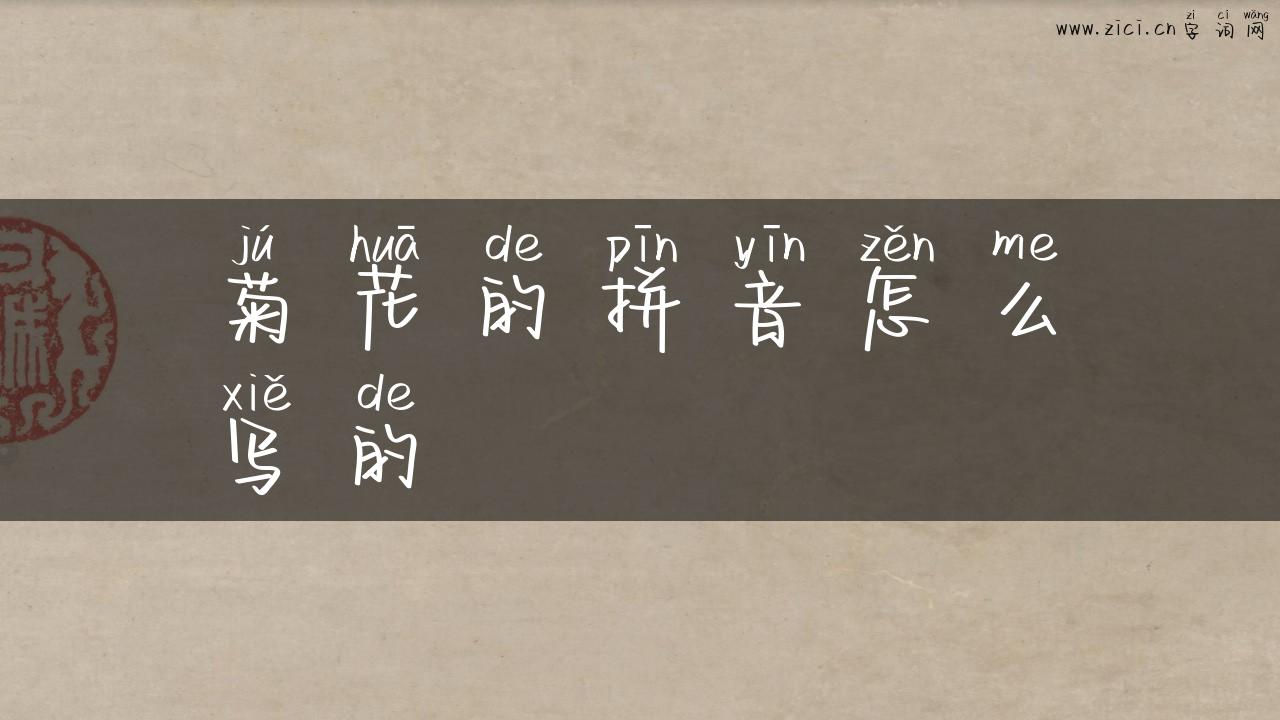 菊花的拼音怎么写的