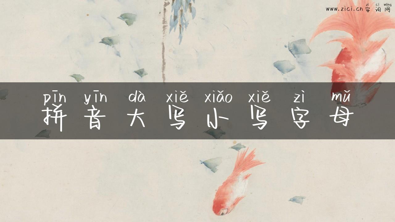 拼音大写小写字母