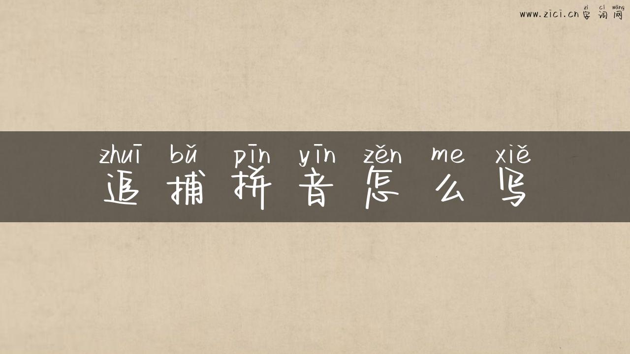 追捕拼音怎么写