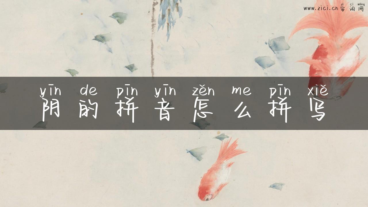 阴的拼音怎么拼写