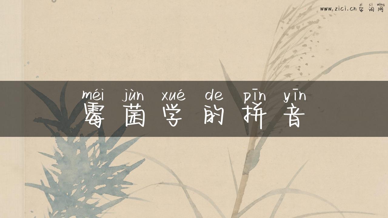 霉菌学的拼音