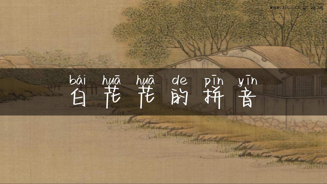 白花花的拼音
