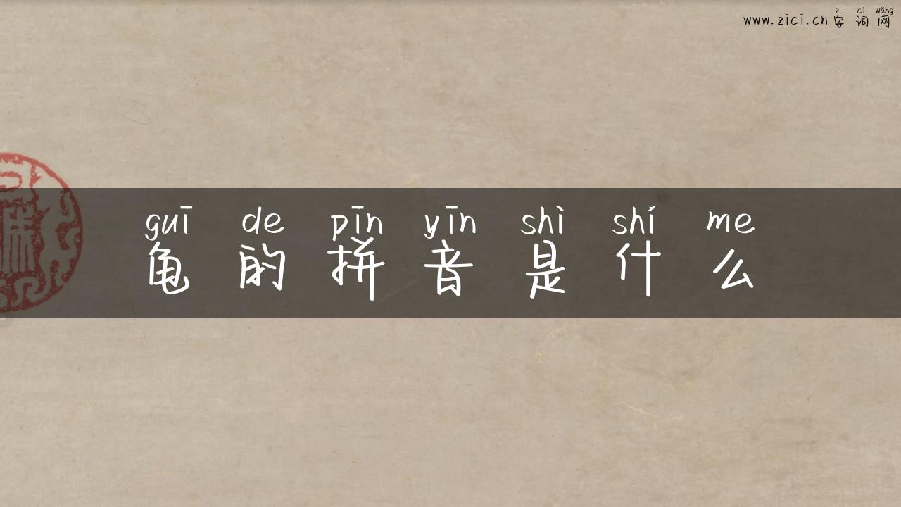 龟的拼音是什么