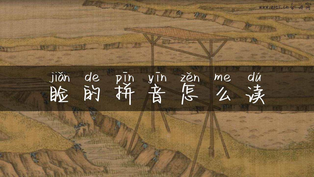 睑的拼音怎么读