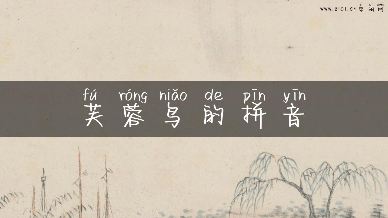 芙蓉鸟的拼音