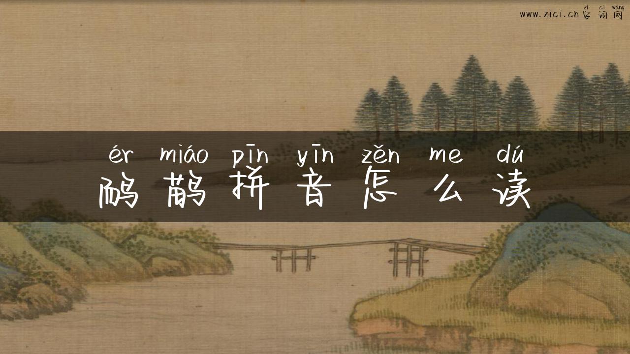 鸸鹋拼音怎么读