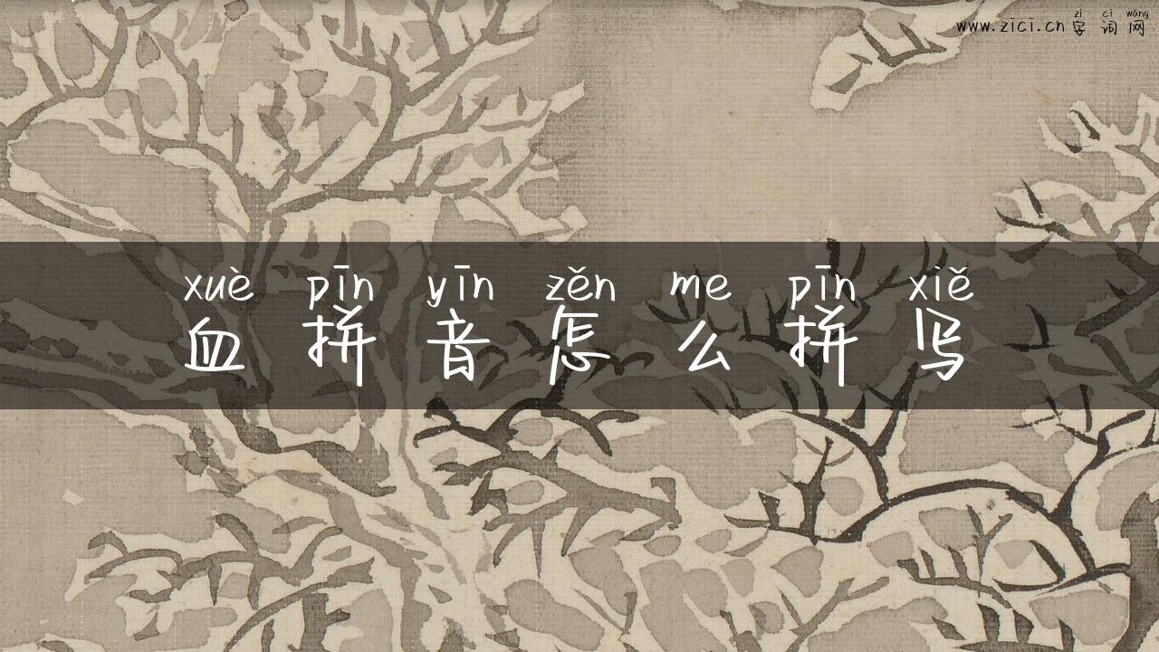 血拼音怎么拼写