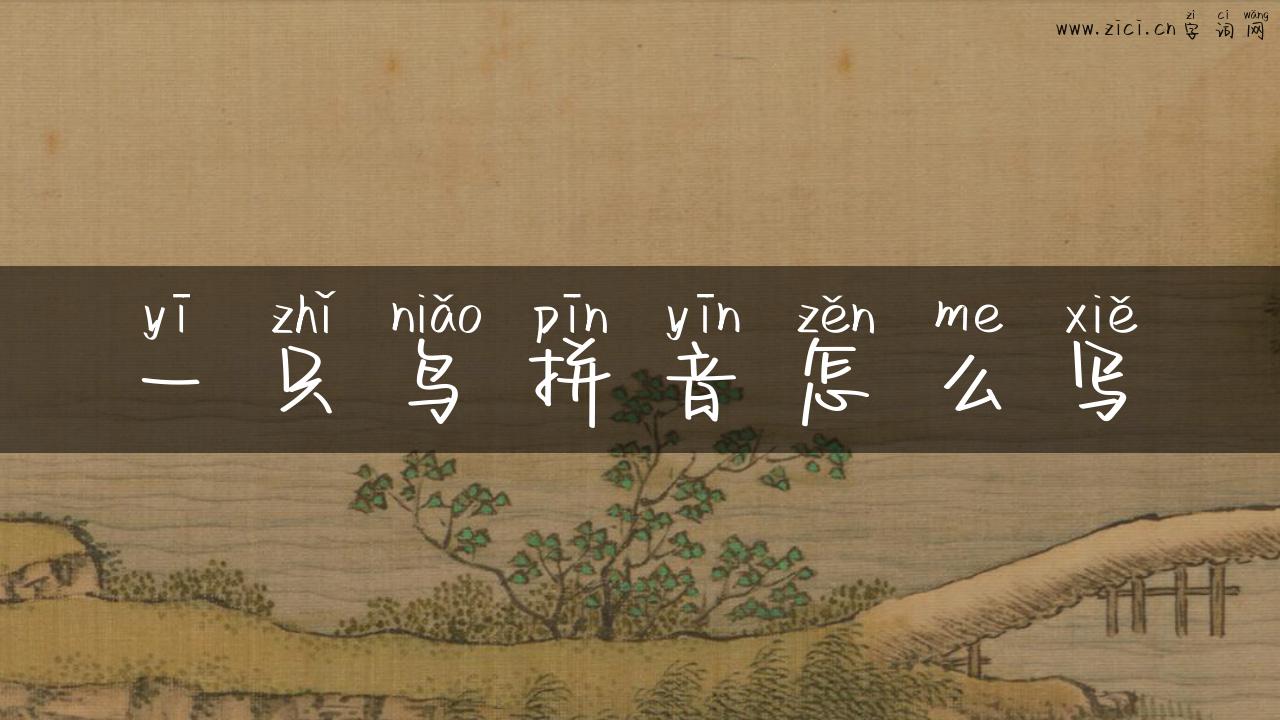 一只鸟拼音怎么写