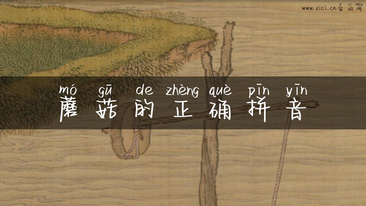 蘑菇的正确拼音