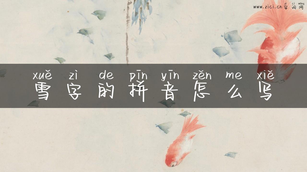 雪字的拼音怎么写