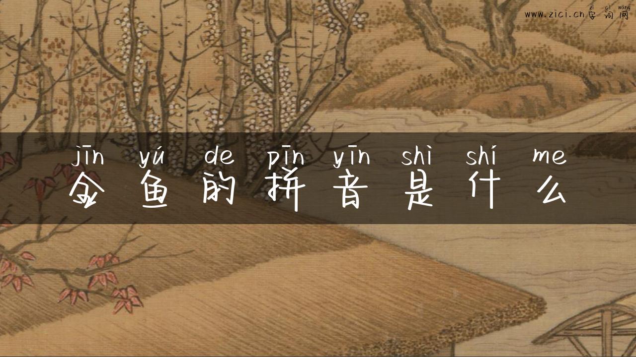 金鱼的拼音是什么