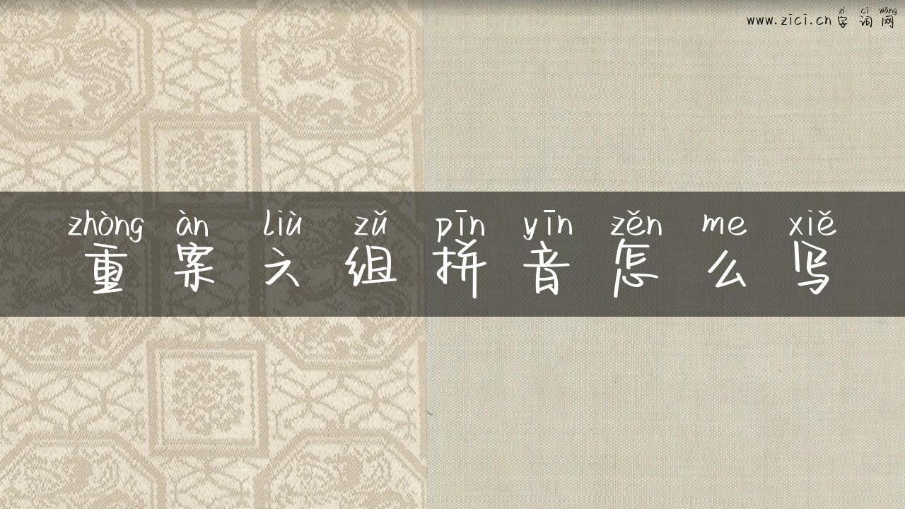 重案六组拼音怎么写