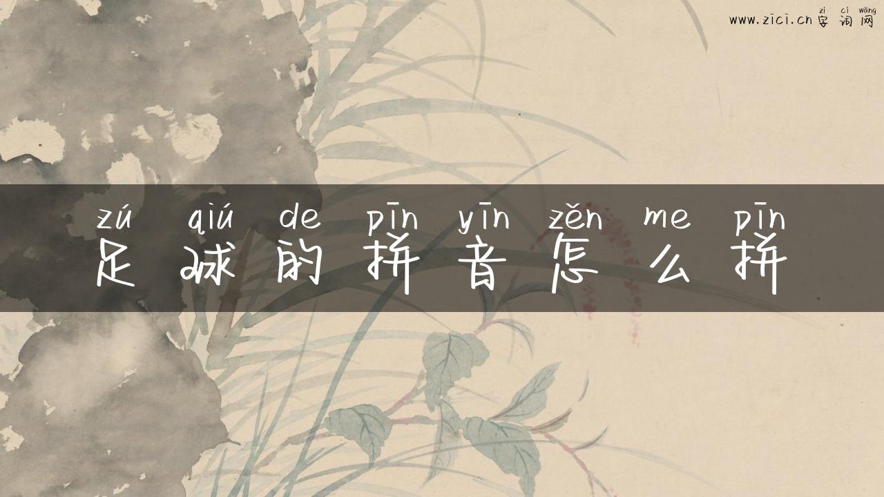 足球的拼音怎么拼