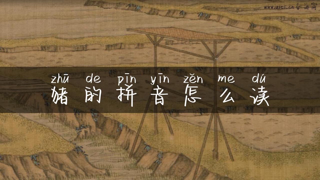 猪的拼音怎么读