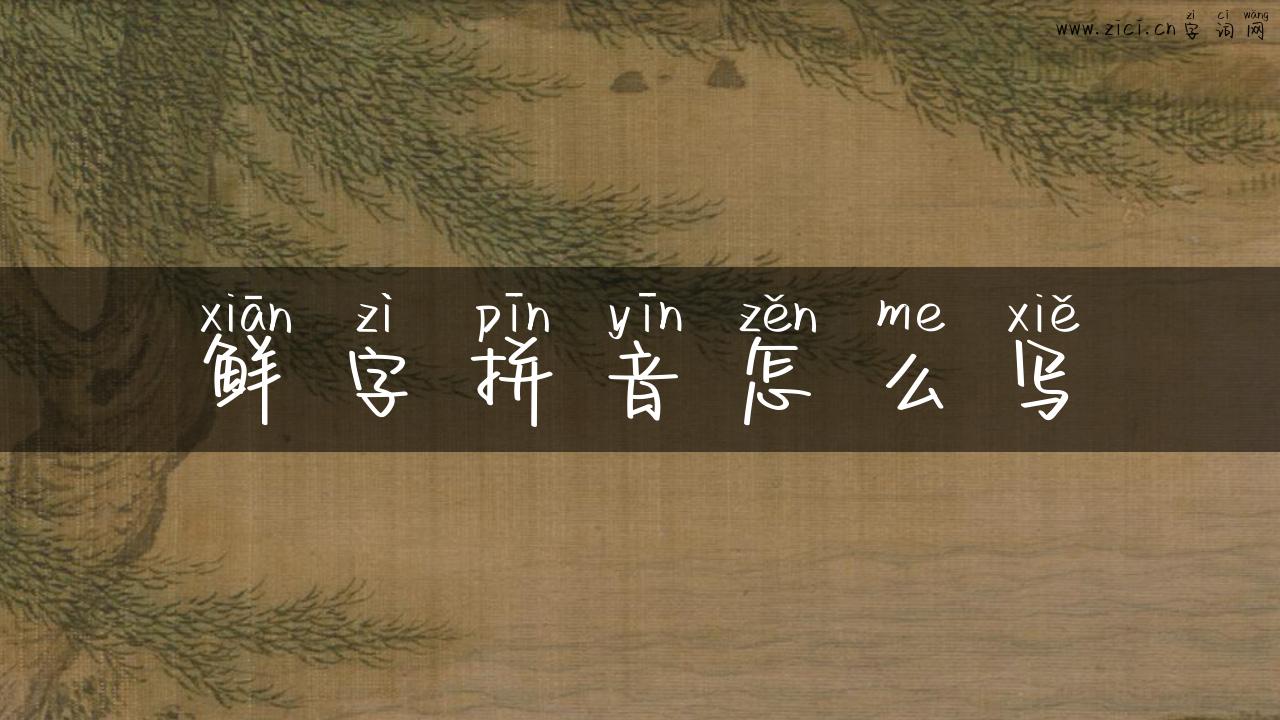 鲜字拼音怎么写