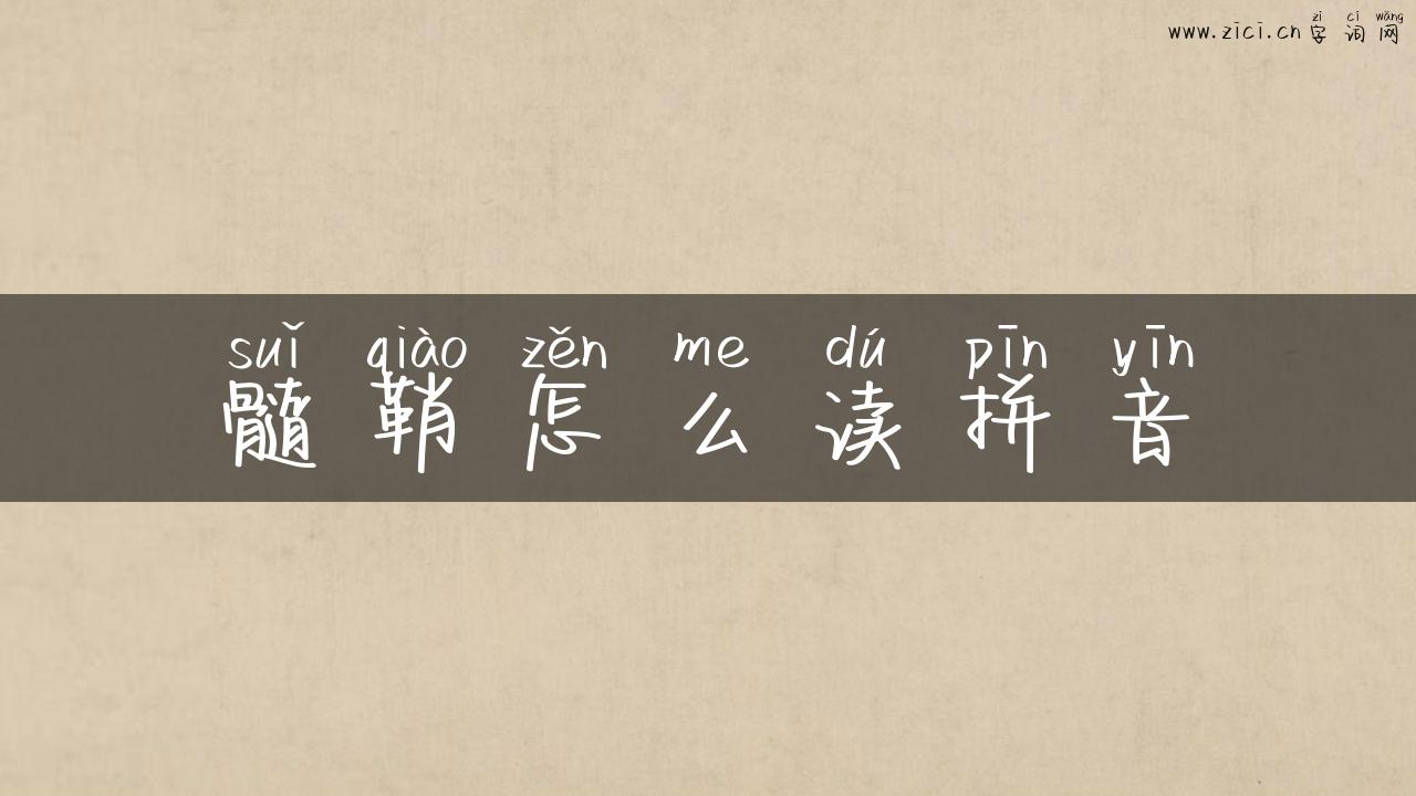 髓鞘怎么读拼音
