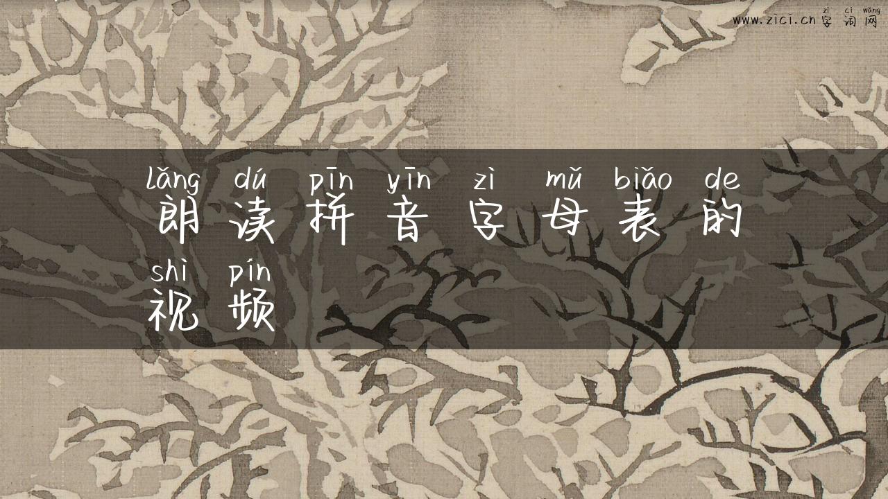 朗读拼音字母表的视频