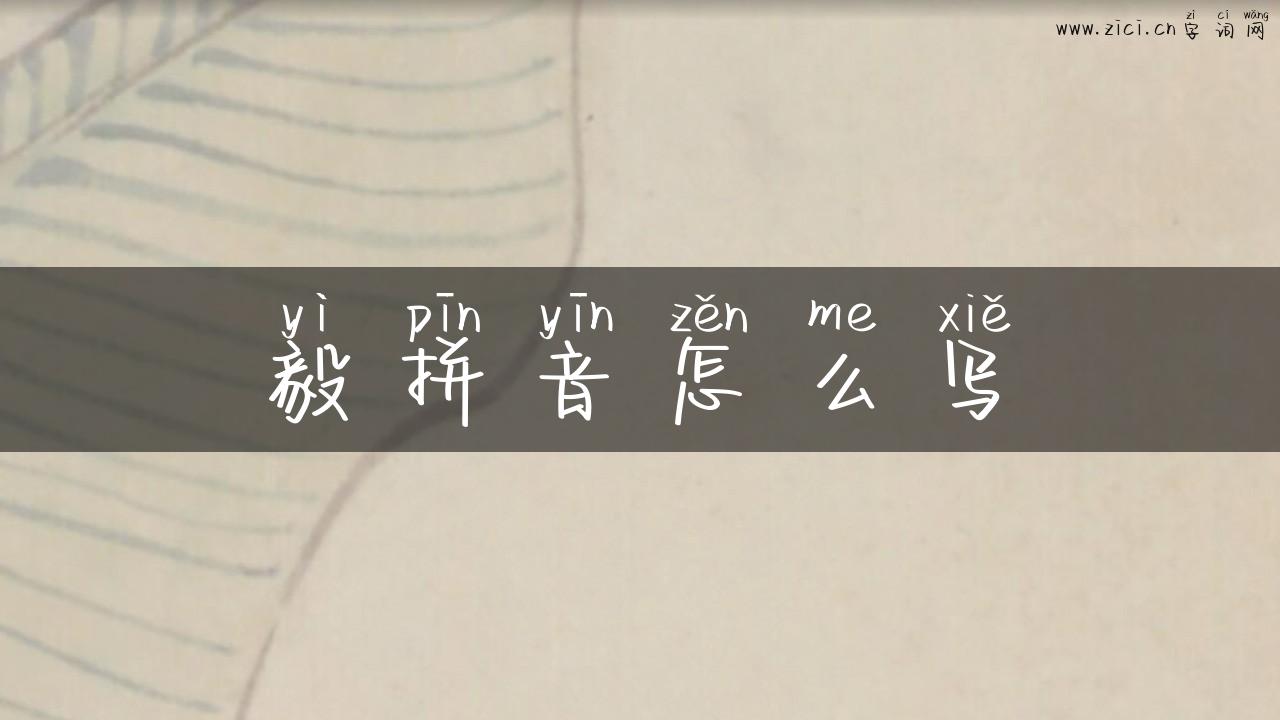 毅拼音怎么写