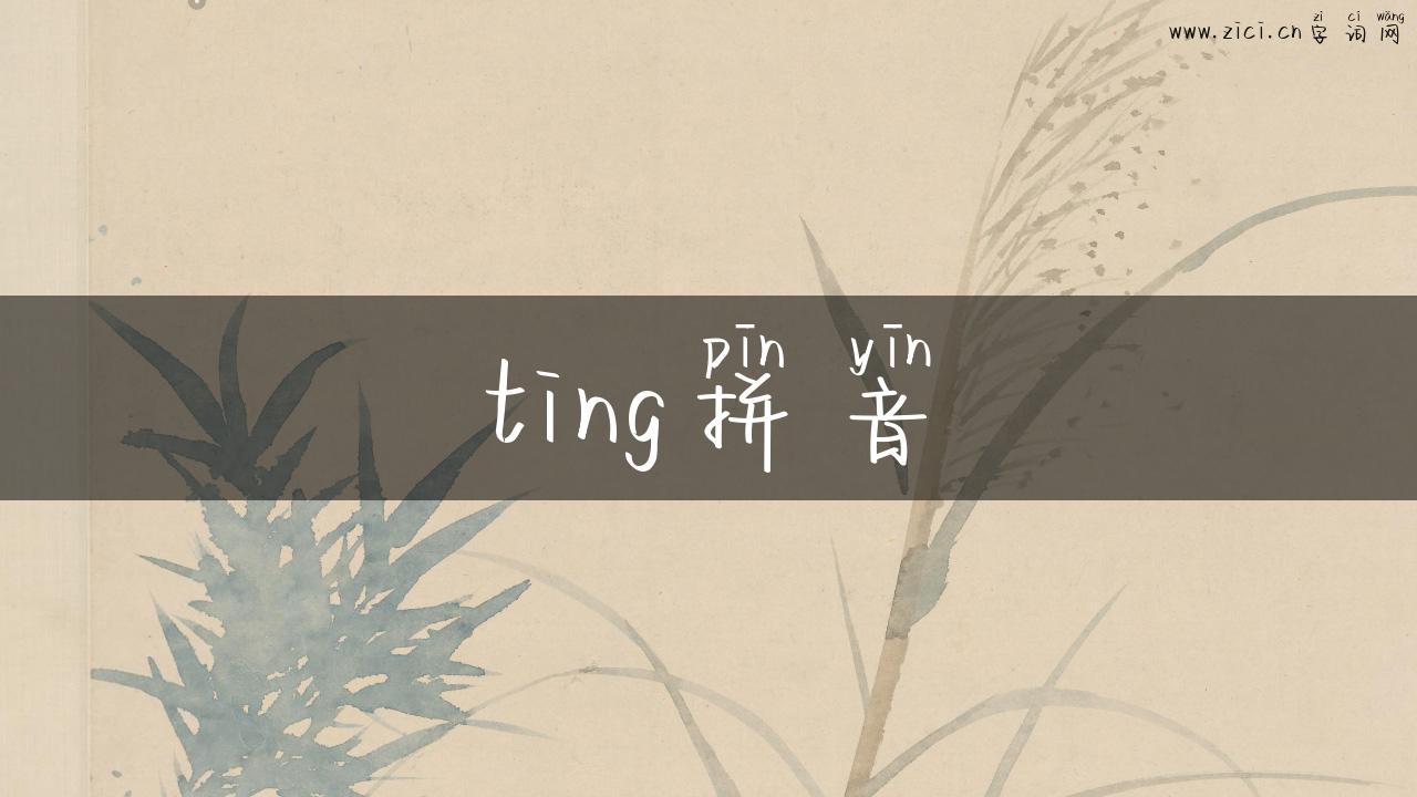ting拼音