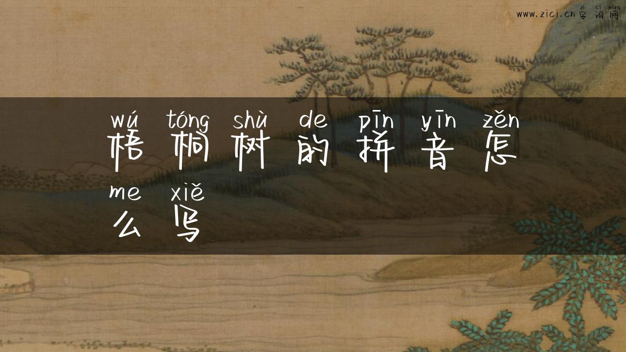 梧桐树的拼音怎么写