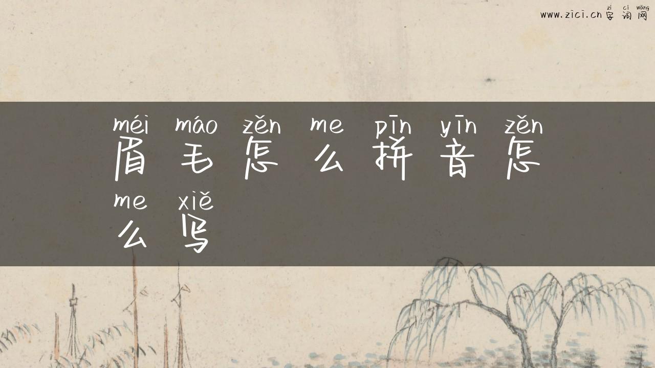 眉毛怎么拼音怎么写