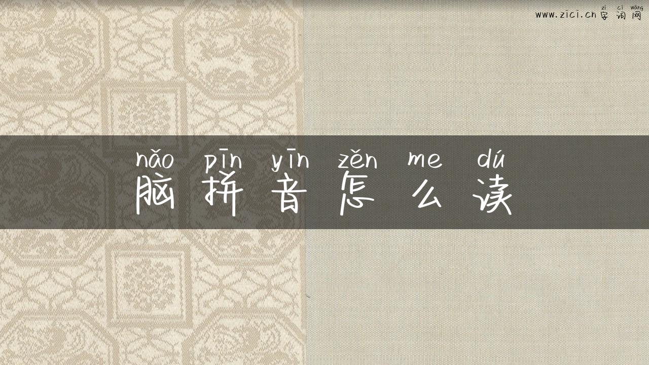 脑拼音怎么读