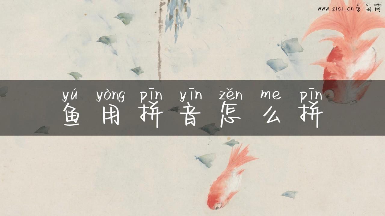 鱼用拼音怎么拼