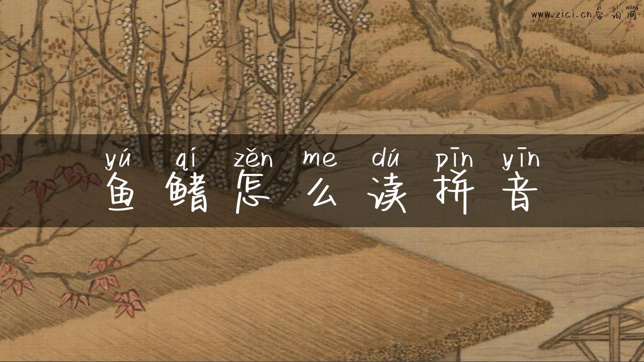 鱼鳍怎么读拼音