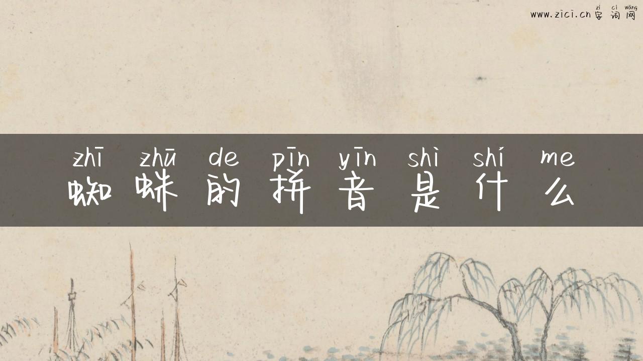 蜘蛛的拼音是什么