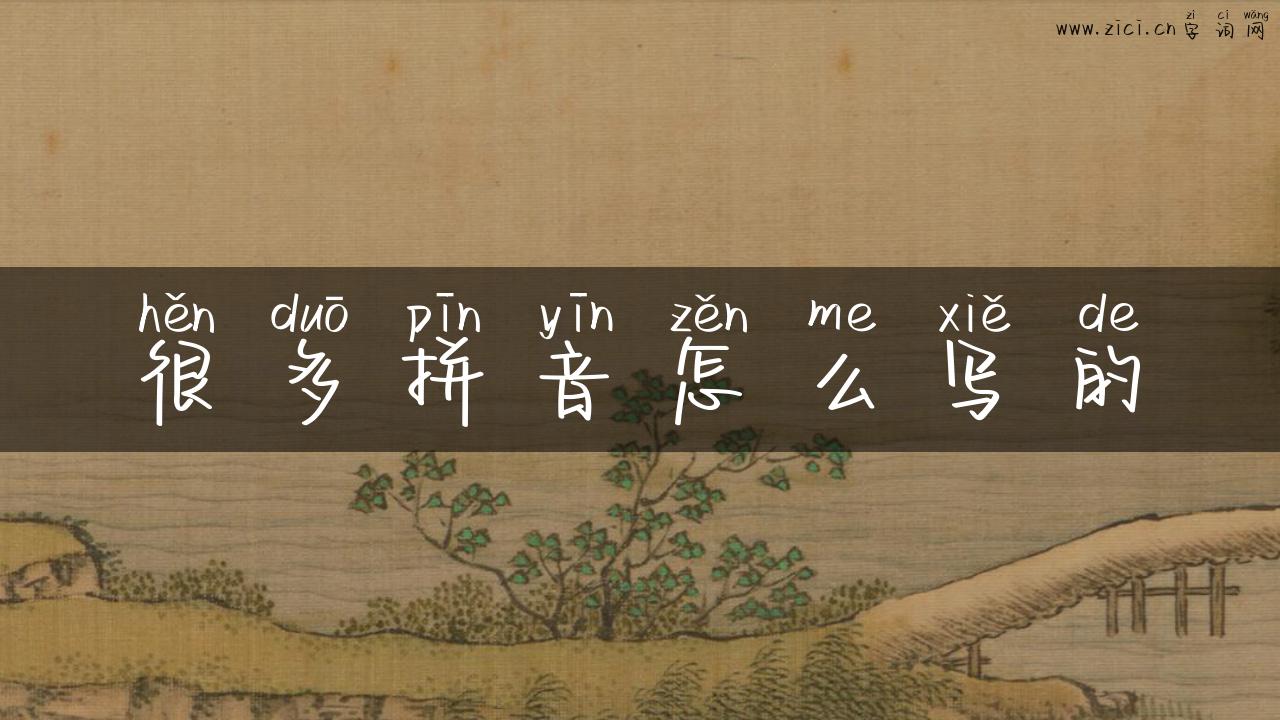 很多拼音怎么写的