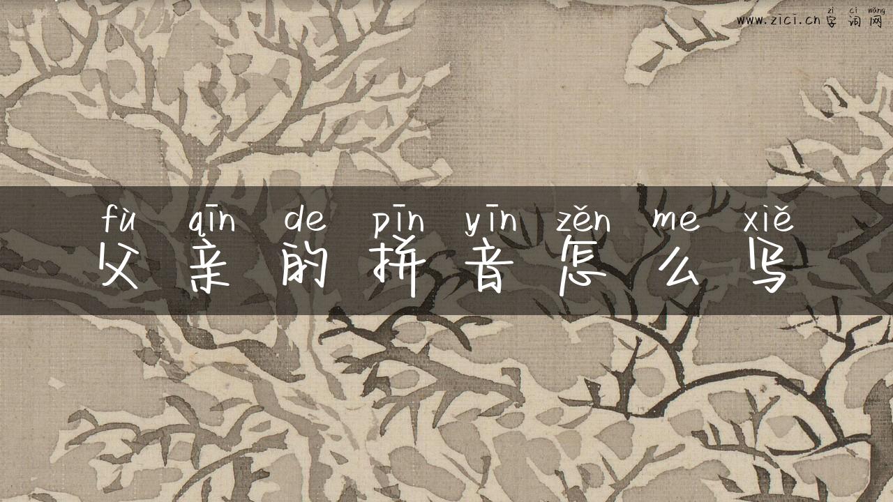 父亲的拼音怎么写