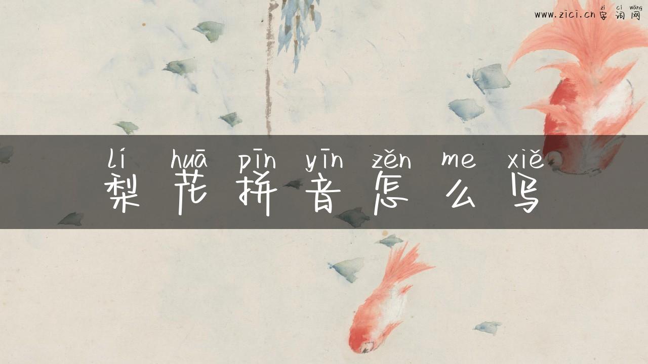 梨花拼音怎么写