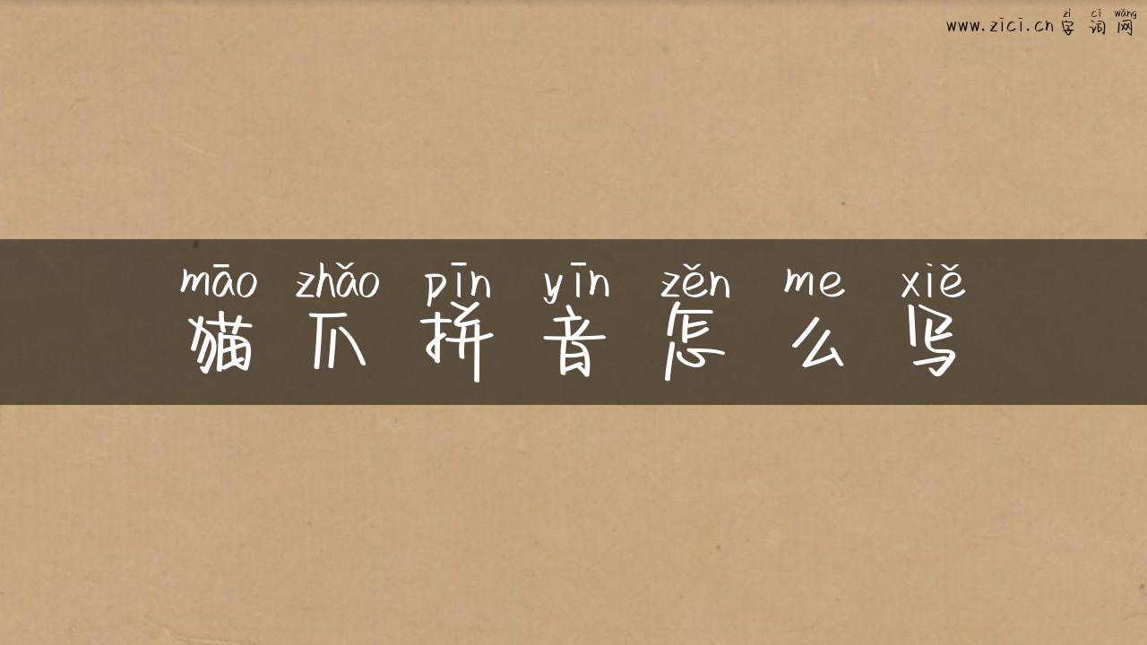 猫爪拼音怎么写