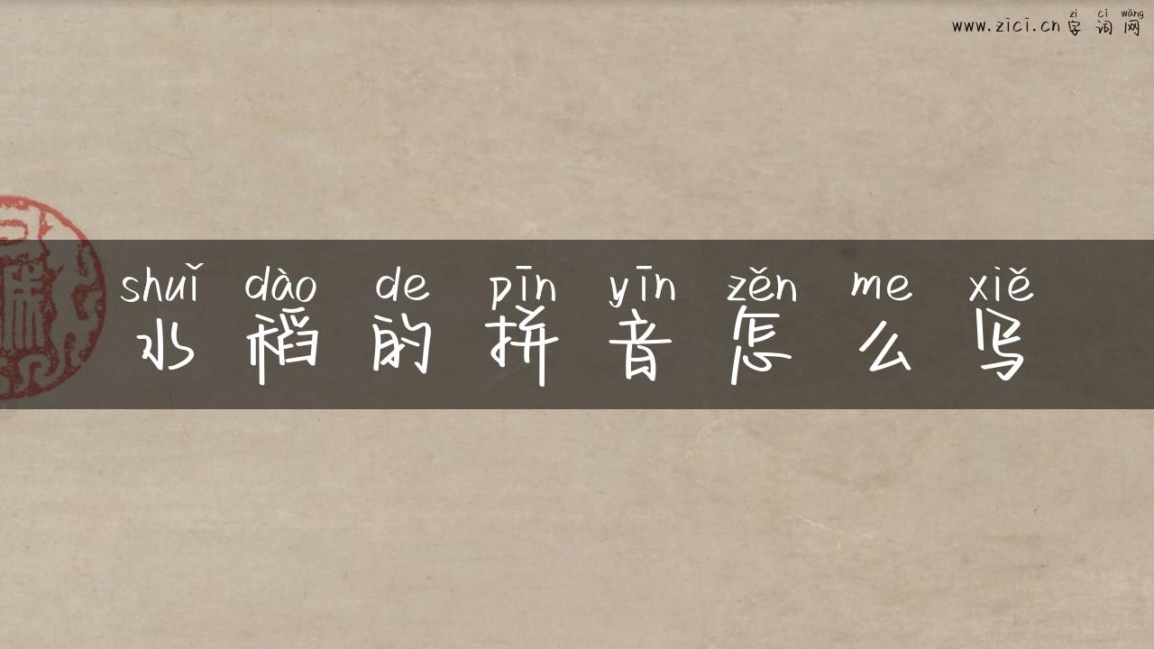 水稻的拼音怎么写