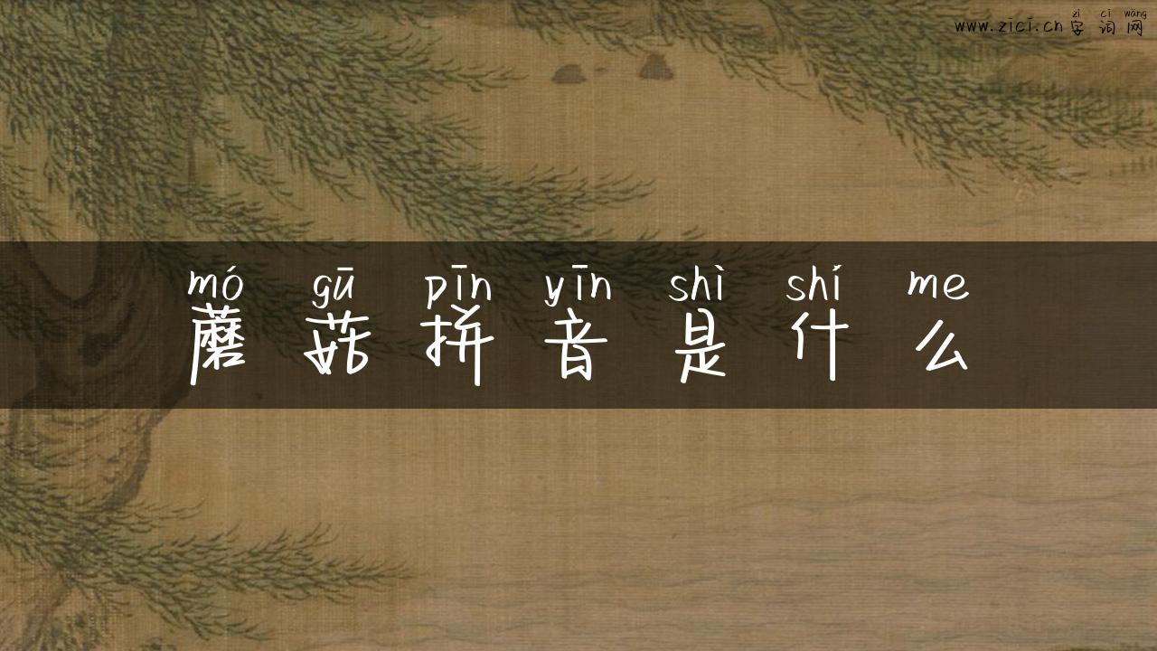 蘑菇拼音是什么