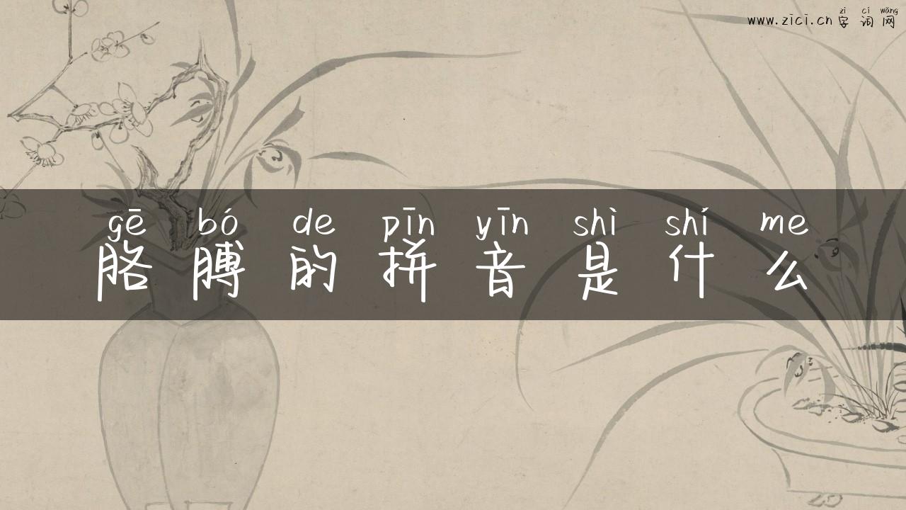 胳膊的拼音是什么
