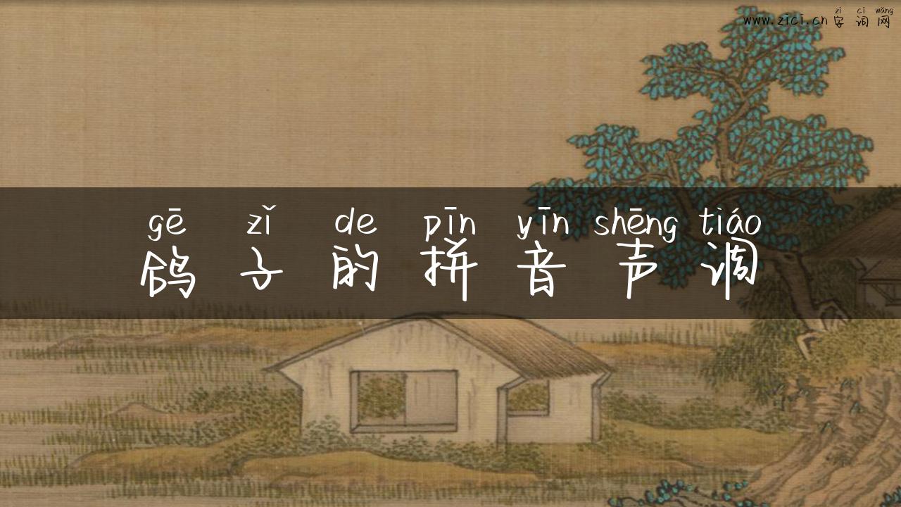 鸽子的拼音声调