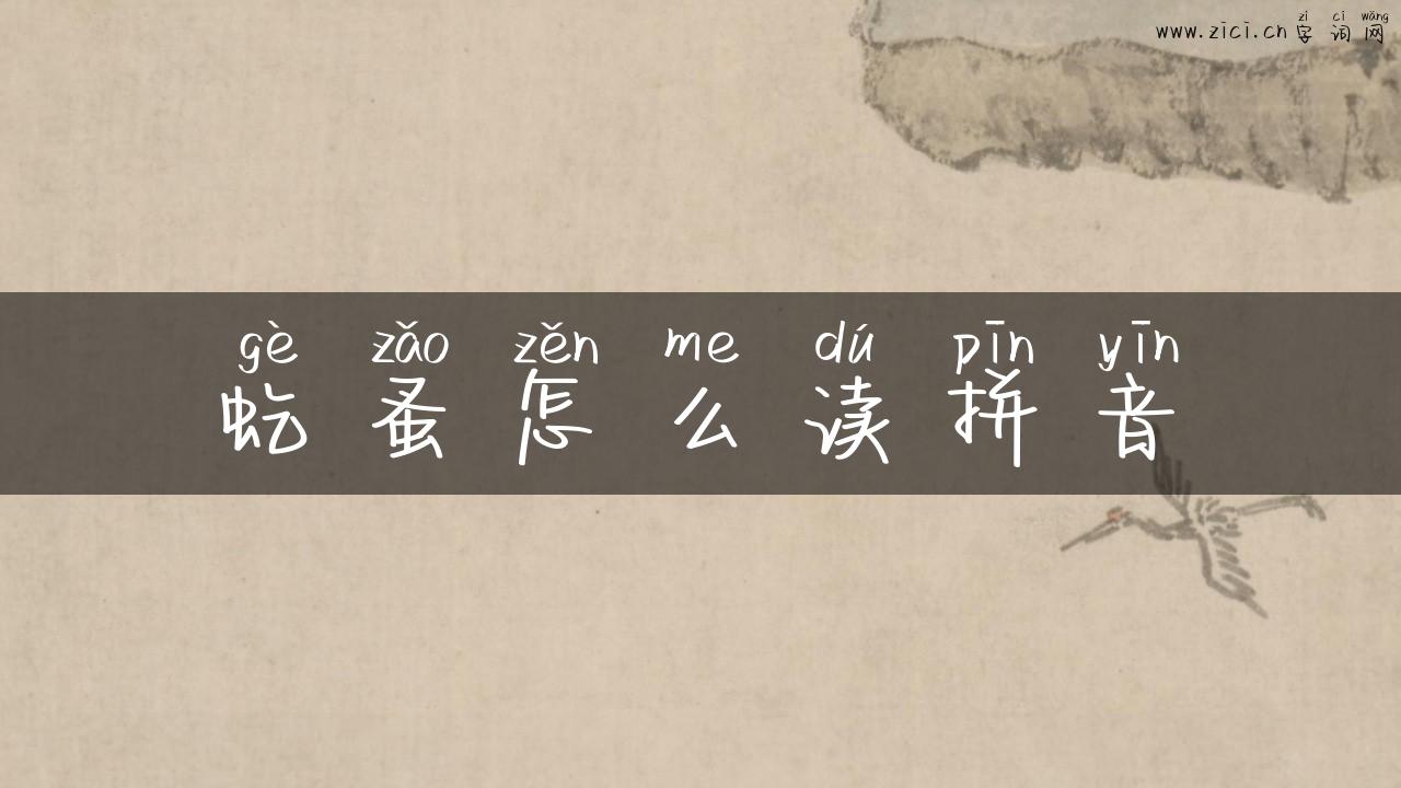 虼蚤怎么读拼音