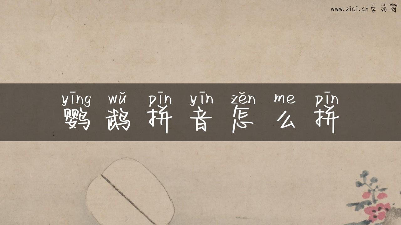 鹦鹉拼音怎么拼