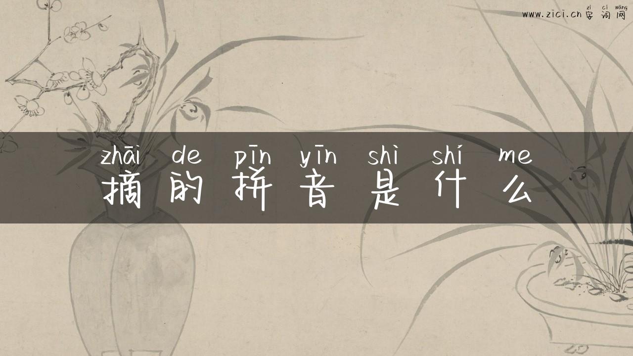 摘的拼音是什么