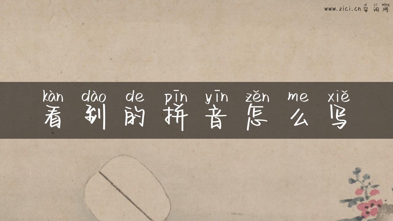 看到的拼音怎么写